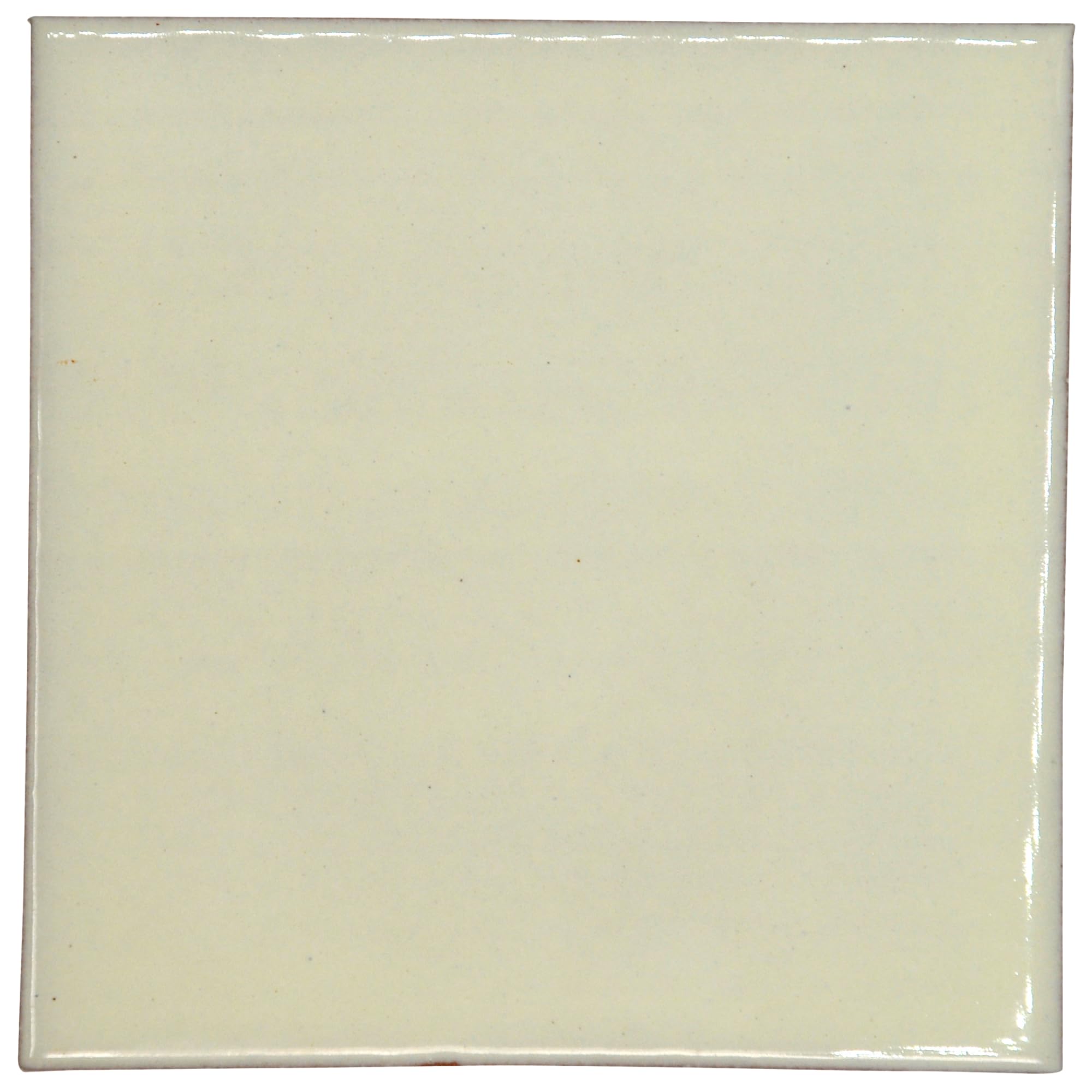 Tumia LAC Handmade Mexican Talavera Tile - Authentic Style Lorenzo Ceramic Tiles for Crafts, Backsplashes and Home Improvement - 10 Pack