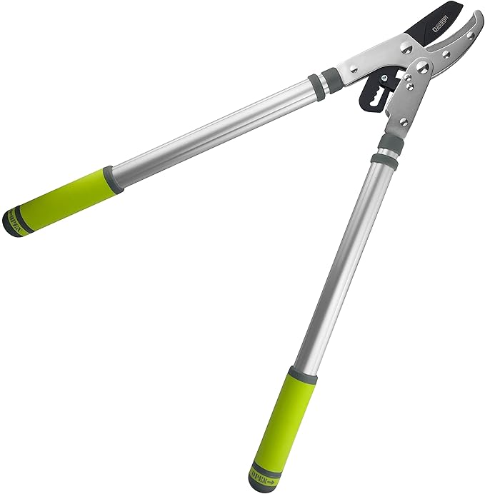 Davaon Pro Ratchet Telescopic Anvil Loppers More Power Less Effort