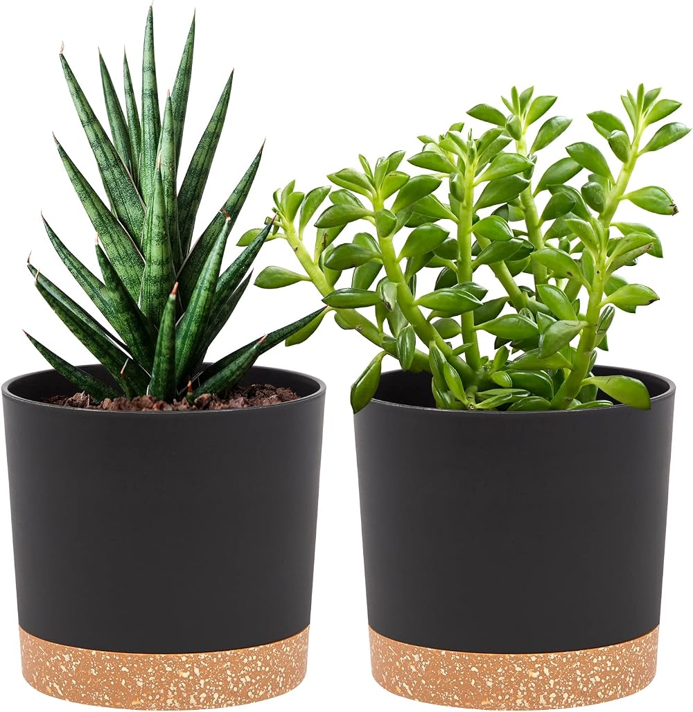 QCQHDU Plant Pot 25.4cm 2 Pack Indoor Outdoor with Drainage Hole Tray Dark Grey