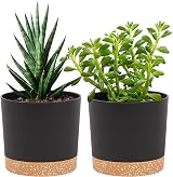 QCQHDU Plant Pot 25.4cm 2 Pack Indoor Outdoor with Drainage Hole Tray Dark Grey