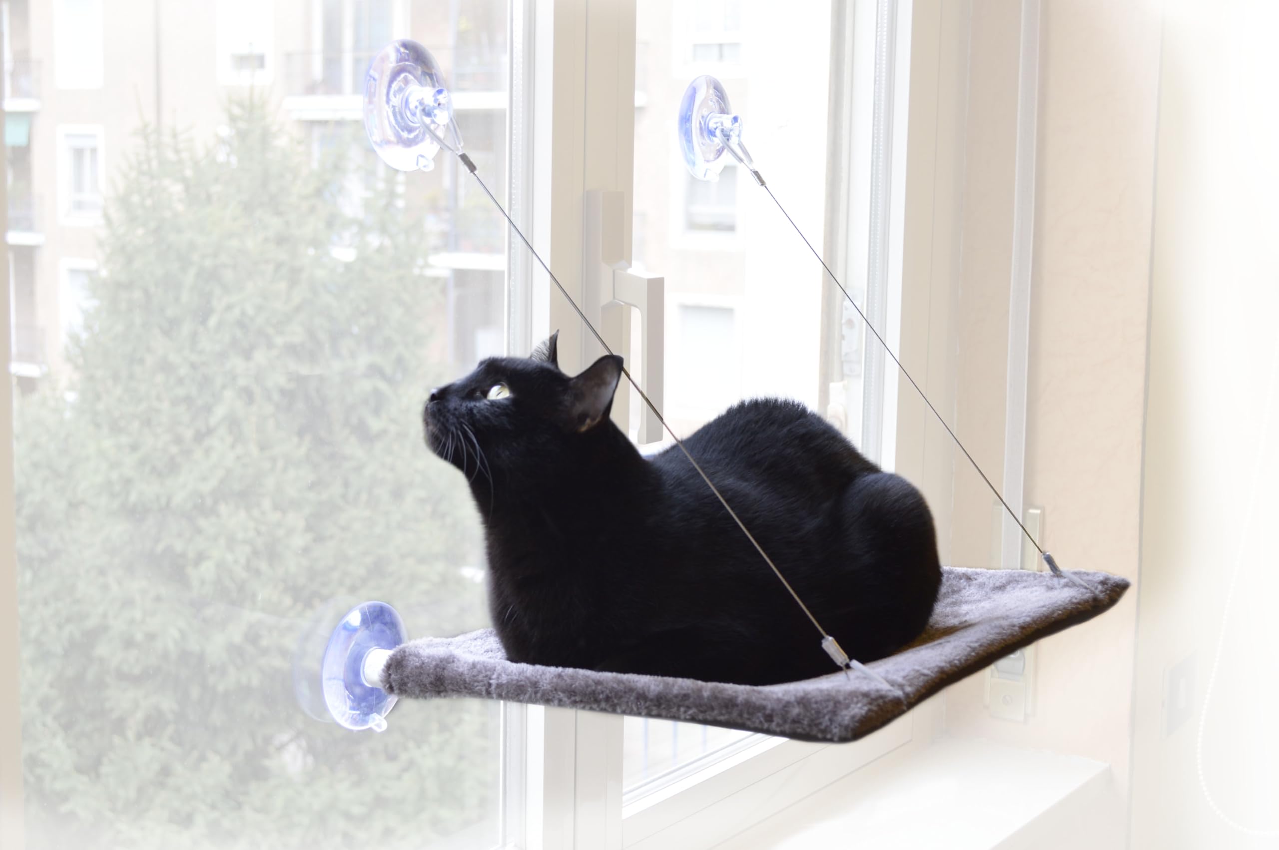 United Pets - Sunbed cat window
