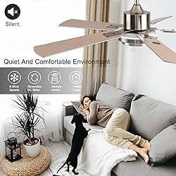 BOOMJOY 52 Inch Ceiling Fans with Lights and Remote