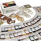Survival Essentials' Premium 135 Variety Heirloom Seed Bank: 23,335+ Non-Hybrid, Non-GMO Heirloom Seeds.Veggies, Fruits, Medi