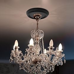 Tsnamay 2Pairs Black Ceiling Medallion Ceiling Fan