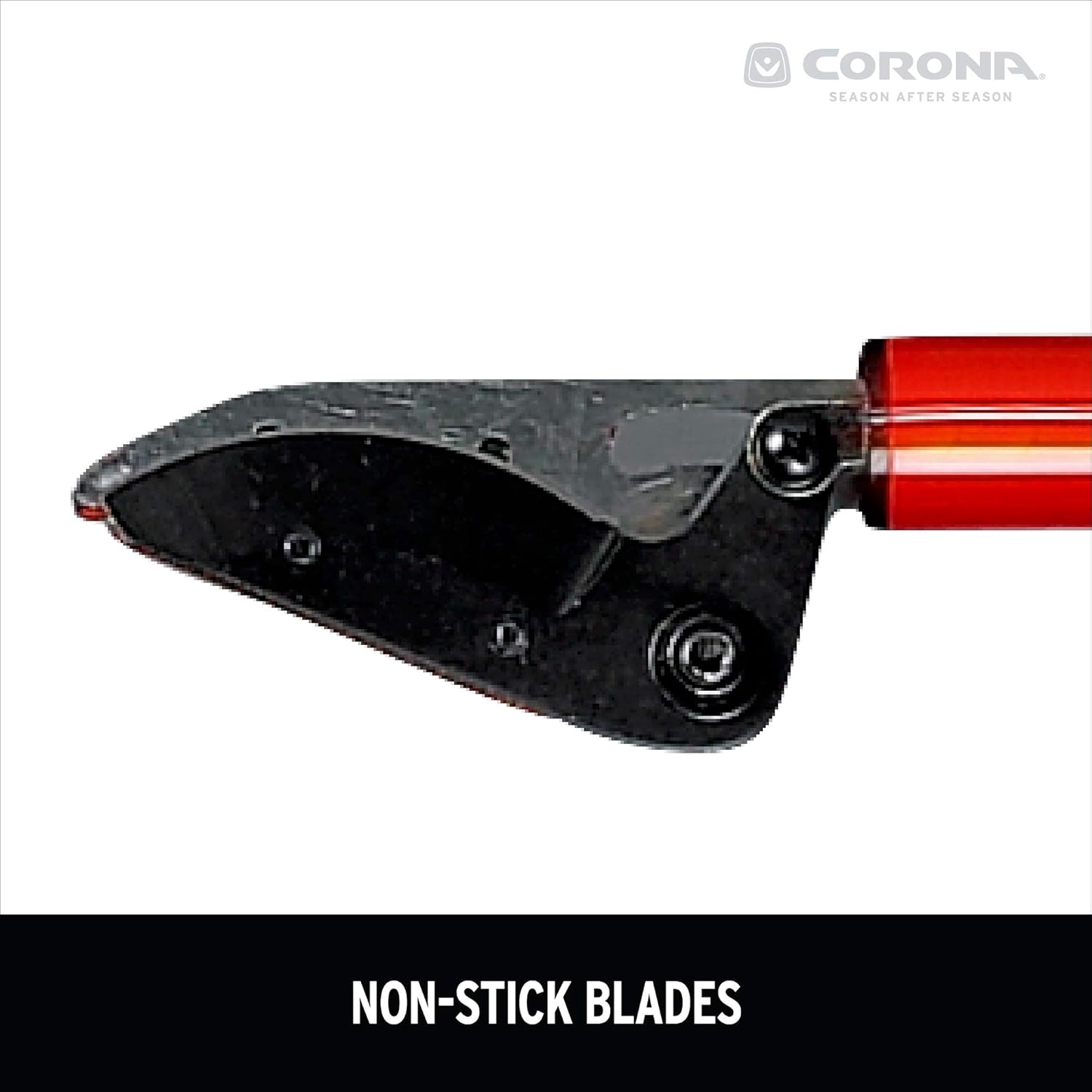Corona LR 3460 Long Reach Cut 'n' Hold Pruner, 46-Inch, Red: Garden & Outdoor