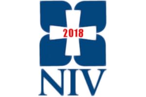 NIV Bible Study