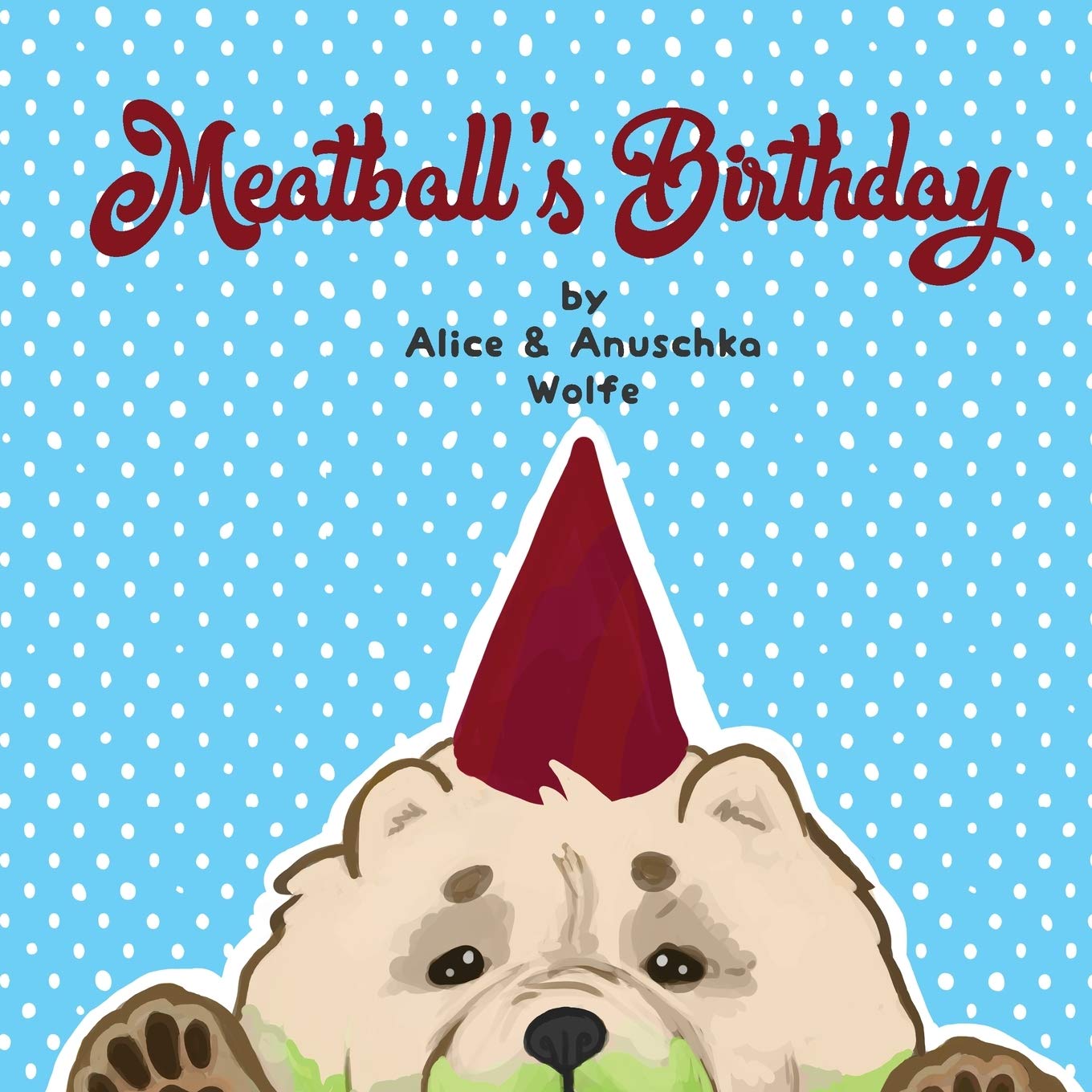 Buy Meatball S Birthday Book Online At Low Prices In India