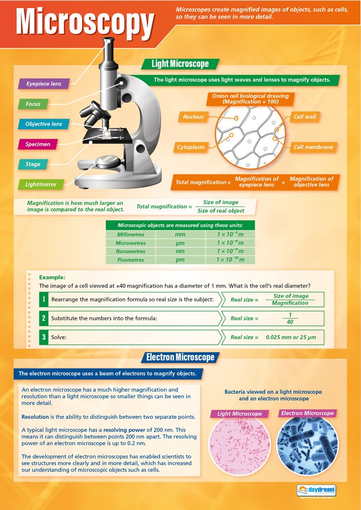 Daydream Education Microscopy | Science Posters | Gloss Paper measuring 850mm x 594mm (A1) | Science Charts for the Classroom | Education Charts