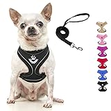 PUPTECK Soft Mesh Dog Harness and Leash for Small