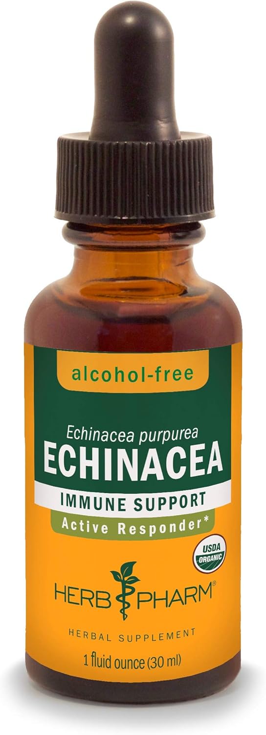 Herb Pharm Certified Organic Echinacea Root Liquid Extract for Immune System Support, Alcohol-Free Glycerite, 1 Ounce: Health & Personal Care