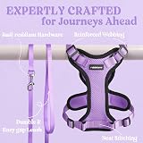 rabbitgoo Cat Harness and Lead Set XS Adjustable Escape Proof Purple view 7