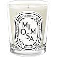 Diptyque Mimosa Candle-6.5 oz.,White,B0043TVXSC