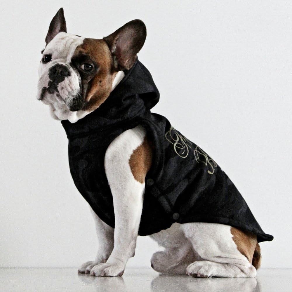 french bulldog hoodie