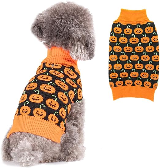 dog sweater from beanie
