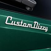 Custom Car Emblem Gift for Cars Lovers, Personalized Vechicle Gifts Race Sign Truck Letter 3D Customized Badges for Boats Motorbike Side Rear Front Hood Trunk Door (Custom Name)