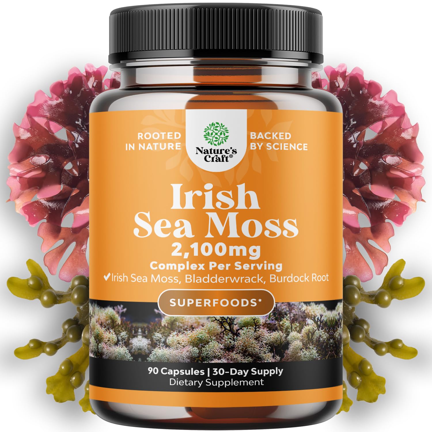 Irish Sea Moss 2100 mg