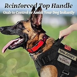 rabbitgoo Tactical Dog Harness for Large, Heavy