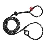 Harness Lead No Pull Dog Harness and Leash