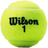 Wilson Champ Extra Duty Tennis Balls Yellow Pack of 2 view 2