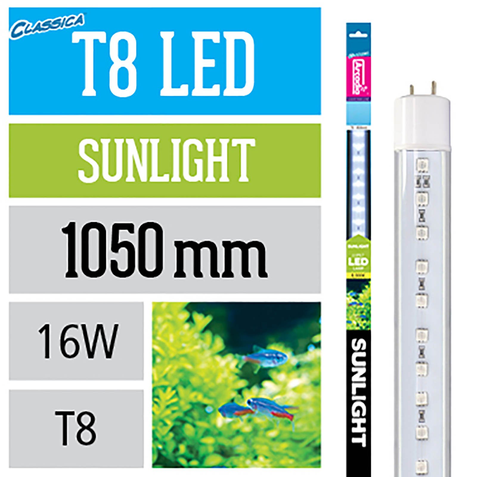 Arcadia FES38 T8 LED Lamp