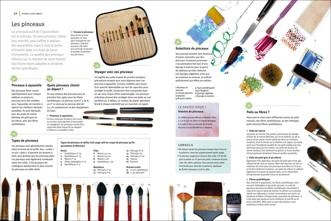 Aquarelle 240 Techniques Trucs Et Astuces Collectif Robin 9782816002072 Amazon Com Books