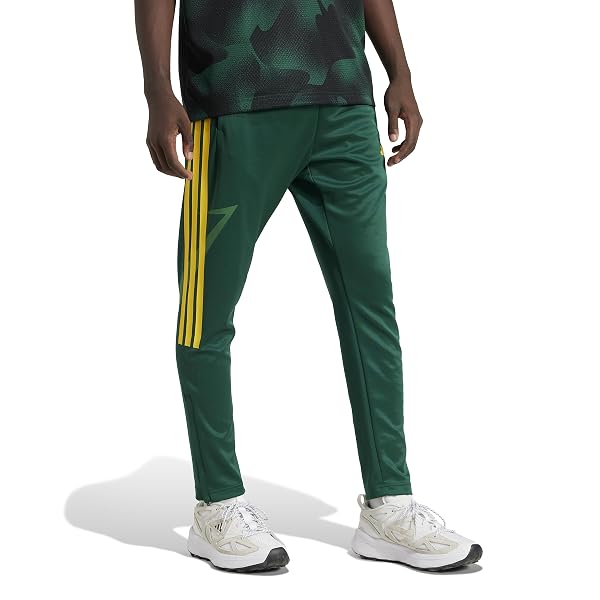 ADIDAS MEN’S HOUSE OF TIRO NATIONS PACK PANTS, COLLEGIATE GREEN/BLANCH CARGO/BOLD GOLD, LARGE