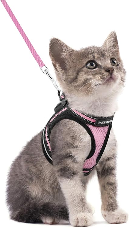 Rabbitgoo Harnais Chat Avec Laisse Harnais Chaton Respirant Et Bande Reflechissante Gilet Petit Chien Reglable Rose S Collier Animal Facile A Mettre Pour Persan Ragdoll American Shorthair Chiot Lapin Amazon Fr Cuisine