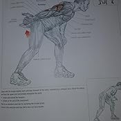 Strength training anatomy 3rd edition torrent