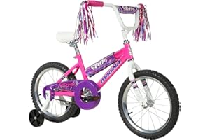 Dynacraft Magna Sapphire Bike - Sturdy Steel Frame, Front and Rear Hand Brakes, Adjustable Seat, Kickstand - Ideal for Ages 6-10, Perfect for Outdoor Riding