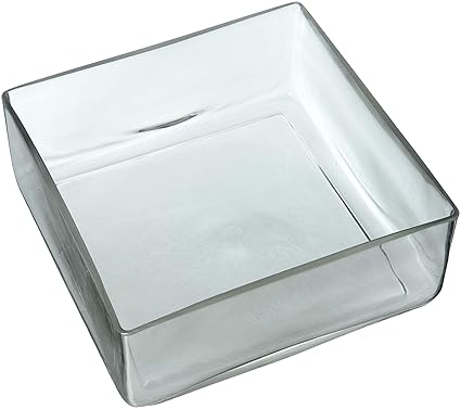 Buy Wgv Clear Square Block Glass Vase 10 By 4 Inch Online At Low