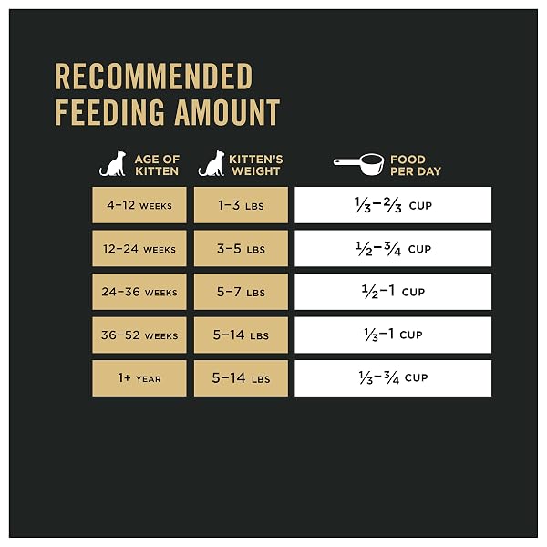 PURINA PRO PLAN WITH PROBIOTICS, HIGH PROTEIN DRY KITTEN FOOD, SHREDDED BLEND CHICKEN & RICE FORMULA – 5 LB. BAG