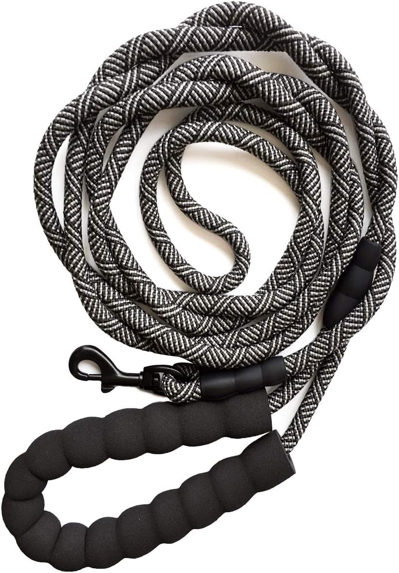 Rope leash for small dogs Clearance