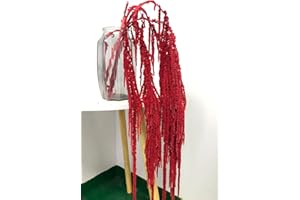 DONGARTS 5 Pcs Bleached Wisteria Vine Hanging Dried Flowers, Natural Preserved Hanging Amaranthus Flowers for Wedding Bouquet, Wall Home Party Decor (Hot Red)