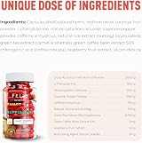 FIT LAB NUTRITION FitLab Weighto Thermogenic Capsules 90 Vegan UK Made view 6
