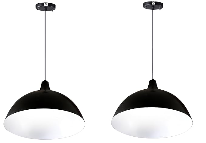 WhiteRay Black White LED Hanging Light