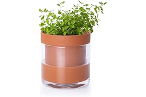 Phoenix Vine 4 Inch Self Watering Planter Pot, Terracotta Clay Pot with Glass Reservoir for Indoor Plants, Herbs, Flowers, Set of 1, 52-A-E-1