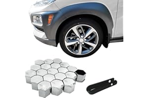 QZTYTY 20PCS Lug Nut Cover, Wheel Center Cover, 19mm Hexagonal Tire Nut Rust and Dust Protection Cap with Remover Clip, Car Wheel Center Bolt Cap Accessory for Most Cars (Electroplating Silver, 19mm)