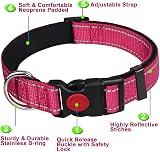 ATETEO Reflective Adjustable Dog Collar with Neoprene Padding 17.7-27.5 in view 2