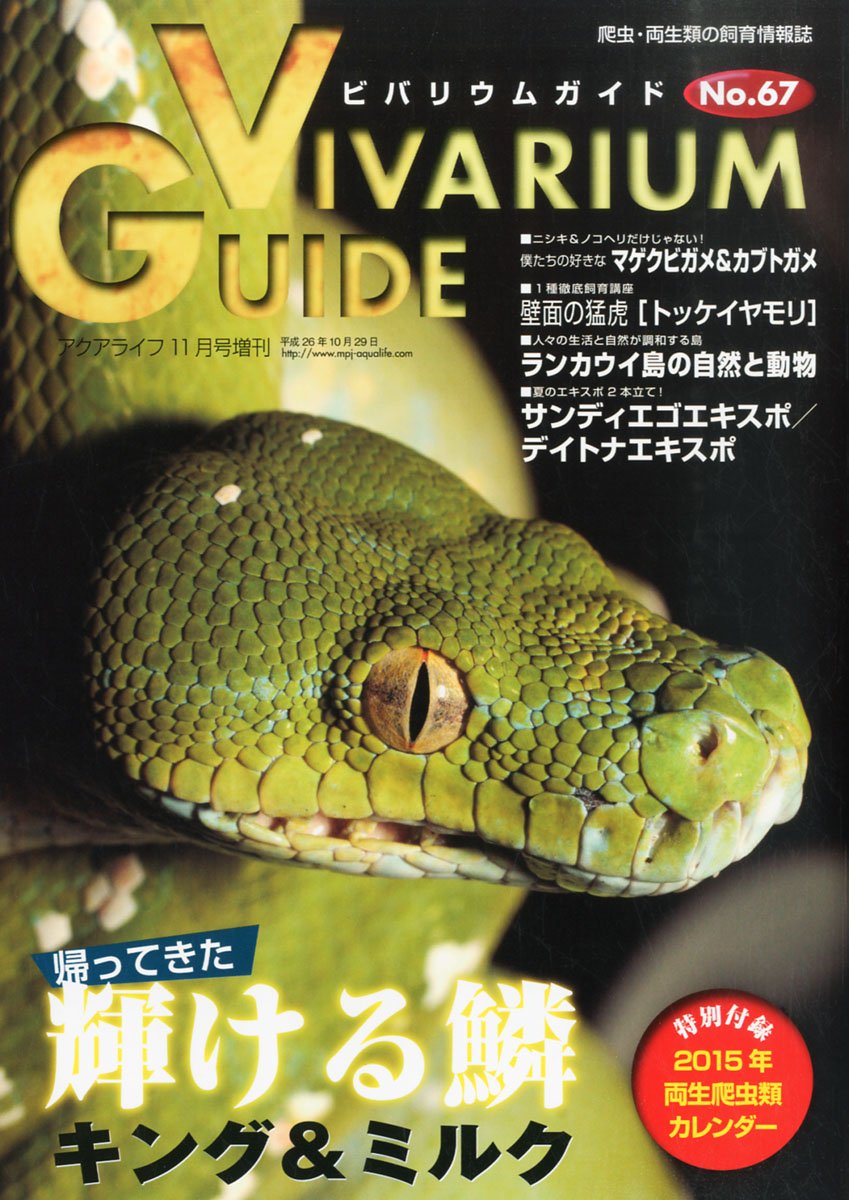 ビバリウムガイド No 67 14年 11月号 Amazon Com Books