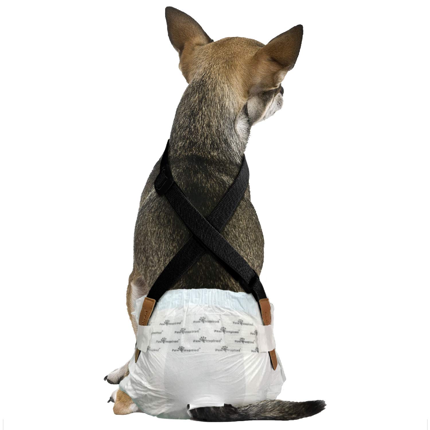 Paw Inspired Dog Diaper Suspenders with Velcro Fasteners | Stretchy Adjustable Suspenders for Female and Male Disposable and Washable Diapers | Fits Small, Medium and Large Size Pets (XS/S, Black)