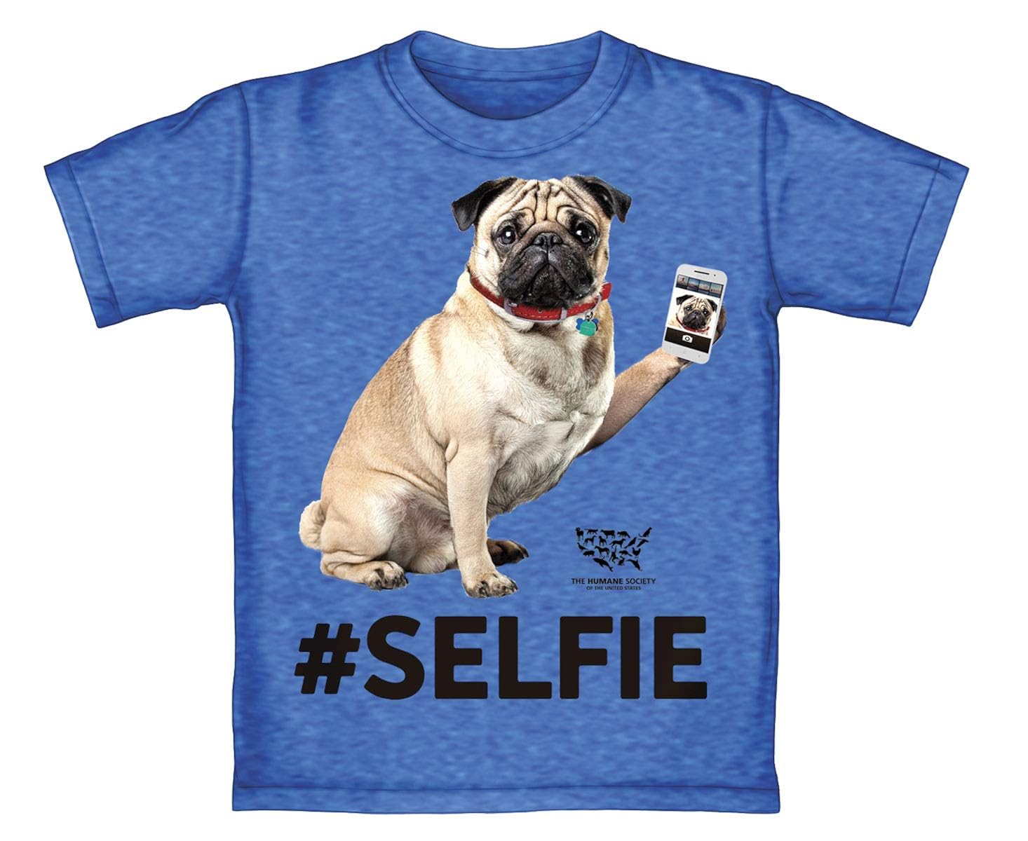 dog training devices to stop barking