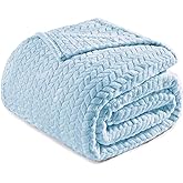 Exclusivo Mezcla Fleece Queen Size Blanket for Bed, 90x90 Inches Soft Cozy Jacquard Flannel Blankets, Lightweight Fuzzy Plush Warm for Women, Light Blue