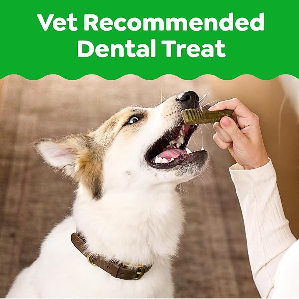 GREENIES VETERINARIAN-RECOMMENDED ADULT NATURAL DENTAL DOG TREATS PETITE SIZE, SWEET POTATO FLAVOR, 36 OZ. PACK, 60 COUNT