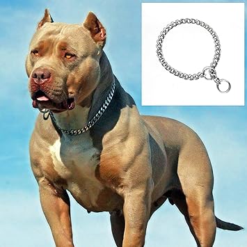 Mr Oreo Chrome Plated Dog Choke Chain Dog Collar Chain Choke Chain Training Collar Training Chain - 22 Inch Collar / 2 cm Thick