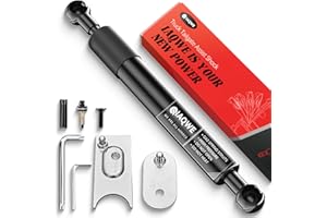 IAQWE 43301 Truck Tailgate Assist Shock Lift Kit Compatible with 2009-2018 Dodge Ram 1500, 2010+ Dodge Ram 2500 3500, 2019+ D