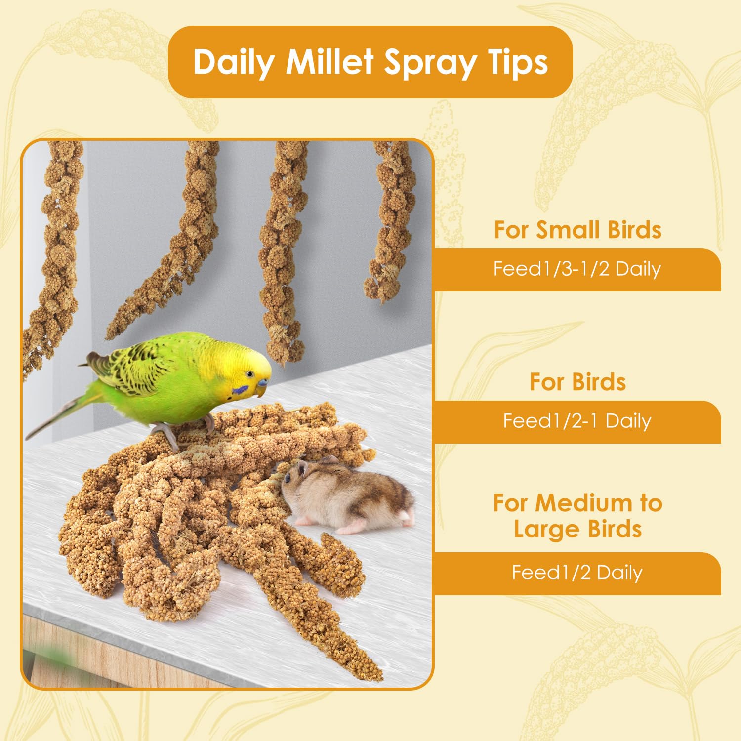 Mua KATUMO Spray Millet Treat for Pet Birds, Natural Sun-Dried Bird ...