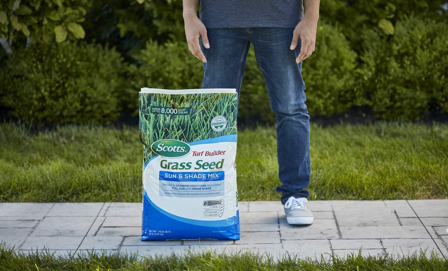 Scotts Turf Builder Grass Seed Sun and Shade Mix, 20 lb. - Grows in Extreme Conditions Including Full Sun and Dense Shade - Seeds up to 8, 000 sq. ft. : Grass Plants : Garden & Outdoor