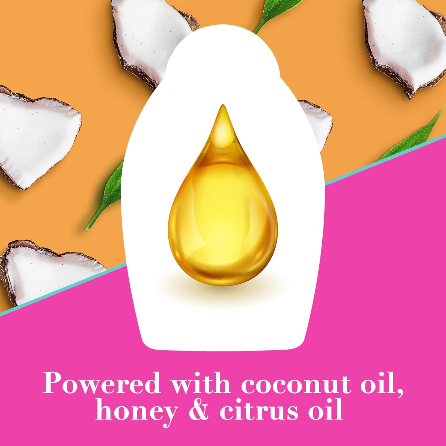 OGX Quenching + Coconut Curls Curl-Defining Shampoo, Hydrating & Nourishing Curly Hair Shampoo with Coconut Oil, Citrus Oil & Honey, Paraben-Free, Sulfate-Free Surfactants, 13 floz : Beauty