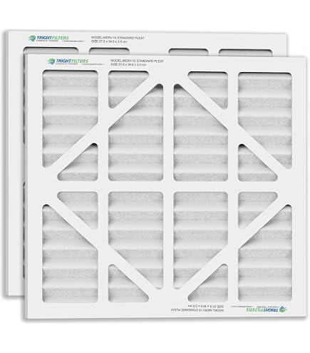 HEPA & Aktivkohlefilter Ersatzset Für AlorAir CleanShield 550 – 2er Pack, Kompatibel Mit Luftschrubber