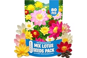 EQUSYM 80Pcs Lotus Seeds for Planting – Bonsai Bowl Lotus Flower Seeds, Mixed Non-GMO Easy Grow Semillas de Flor de Loto for Pond, Fish Tank & Home Garden
